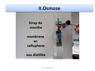 II.Osmose
http://labotp.org
 
