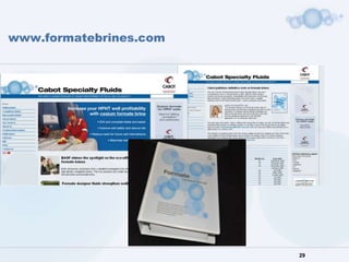 www.formatebrines.com




                        29
 