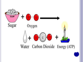 Speacial chemical reaction