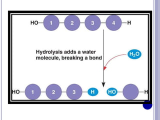 Speacial chemical reaction