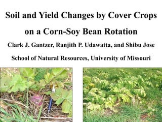 Soil and Yield Changes by Cover Crops
on a Corn-Soy Bean Rotation
Clark J. Gantzer, Ranjith P. Udawatta, and Shibu Jose
School of Natural Resources, University of Missouri
 