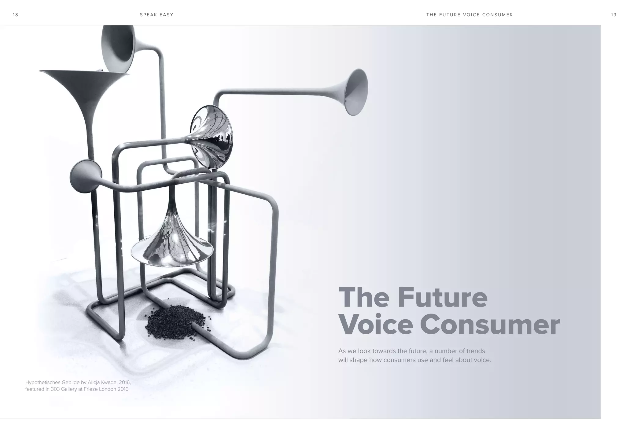 S P E A K E A S Y 1 91 8 T H E F U T U R E V O I C E C O N S U M E R
The Future
Voice Consumer
As we look towards the future, a number of trends
will shape how consumers use and feel about voice.
Hypothetisches Gebilde by Alicja Kwade, 2016,
featured in 303 Gallery at Frieze London 2016.
 