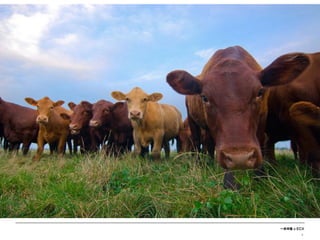 一米市集 x ECX
9
 