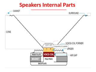 Speakers Internal Parts
 