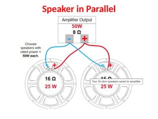 Speaker in Parallel
 