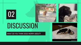 Discusion Dogs speaking class about dogs - aula de conversação | PPT