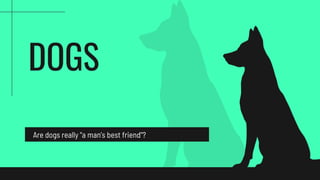 DOGS
Are dogs really "a man’s best friend"?
 