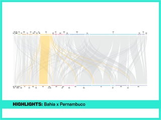 highlights: Bahia x Pernambuco
 
