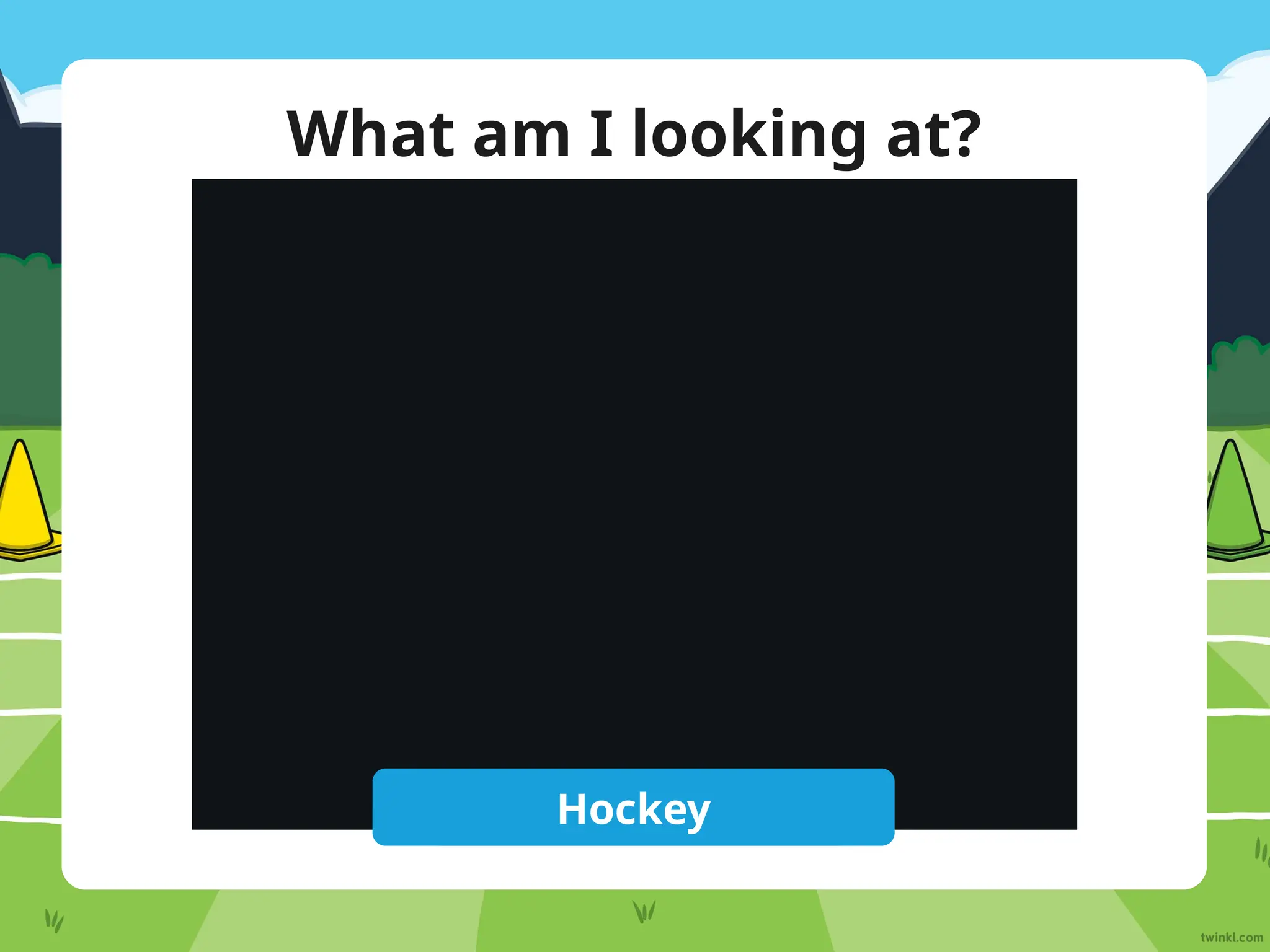 What am I looking at?
Reveal Answer
Hockey
 