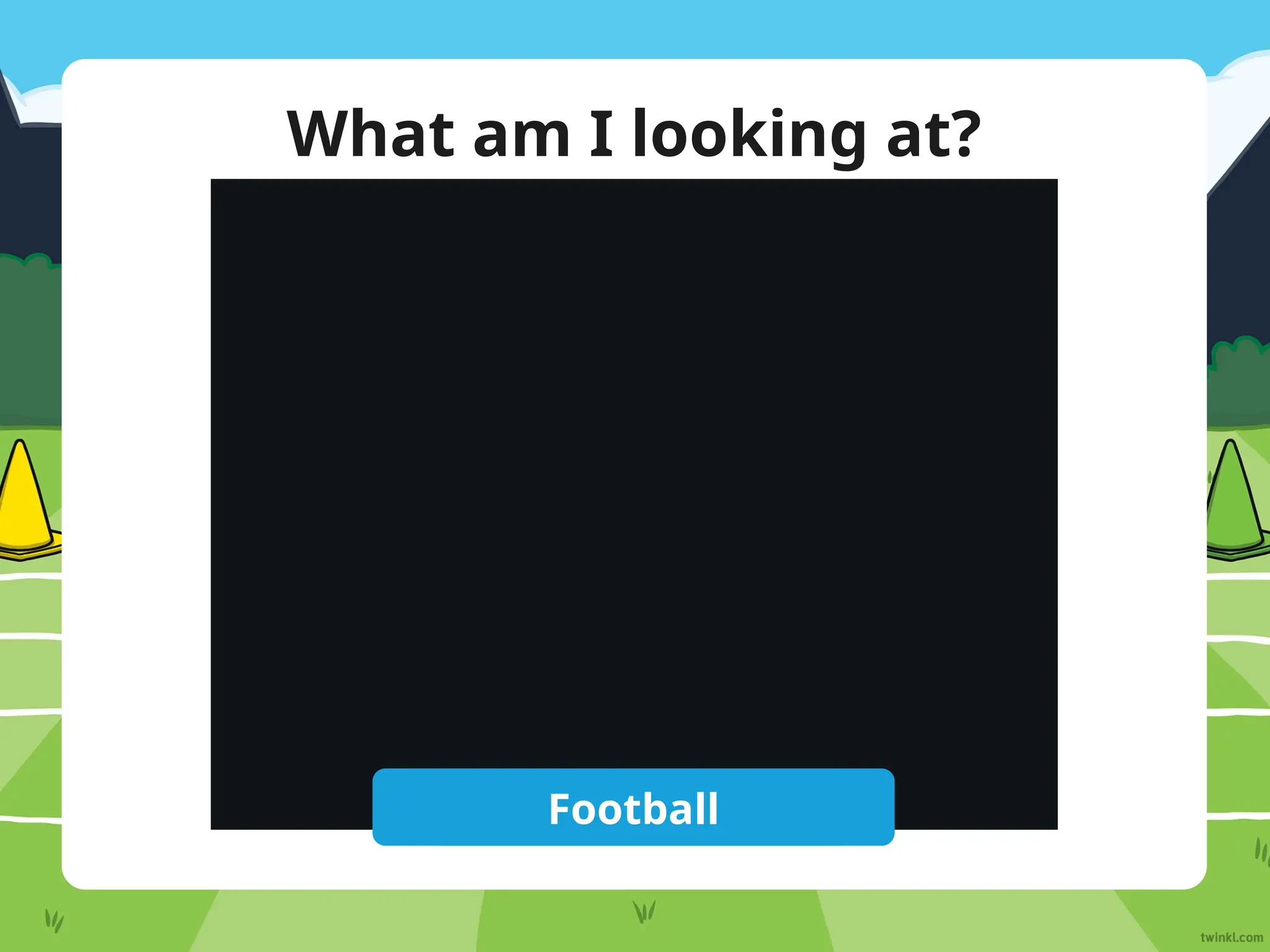 What am I looking at?
Reveal Answer
Football
 