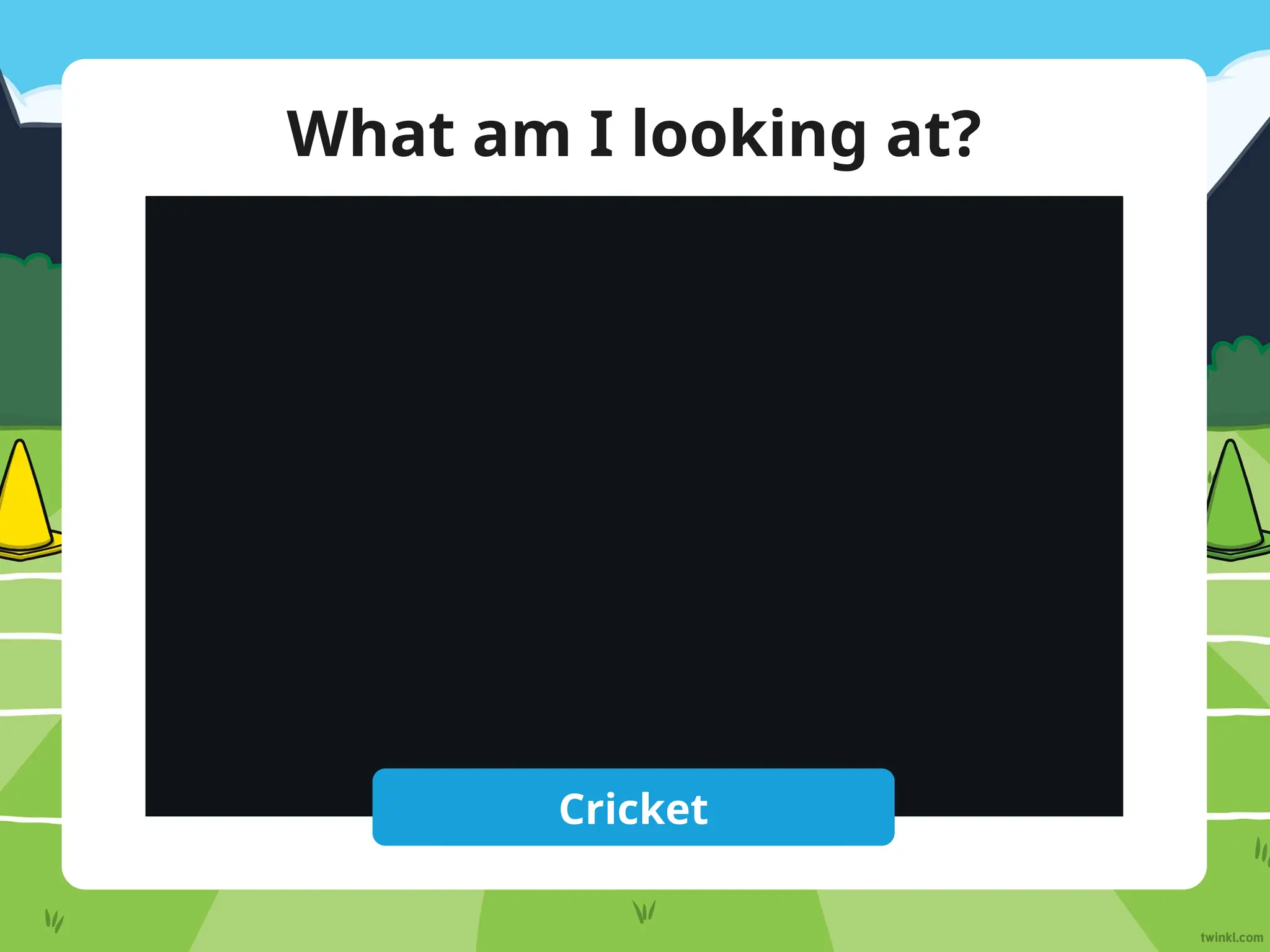 What am I looking at?
Reveal Answer
Cricket
 