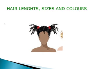 1
HAIR LENGHTS, SIZES AND COLOURS
 