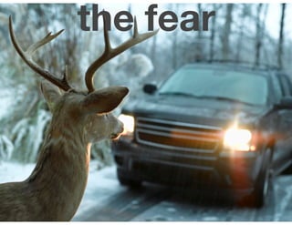 the fear
 