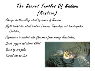 The Sacred Turtles Of Kadavu (Kandavu) Strange turtle-calling ritual by women of Namuanu. Myth behind the ritual involved Princess Tinaicoboga and her daughter Raudalice. Approached in warboat with fishermen from nearby Nabukelevu. Bound, gagged and almost killed. Saved by sea-gods. Turned into turtles. 