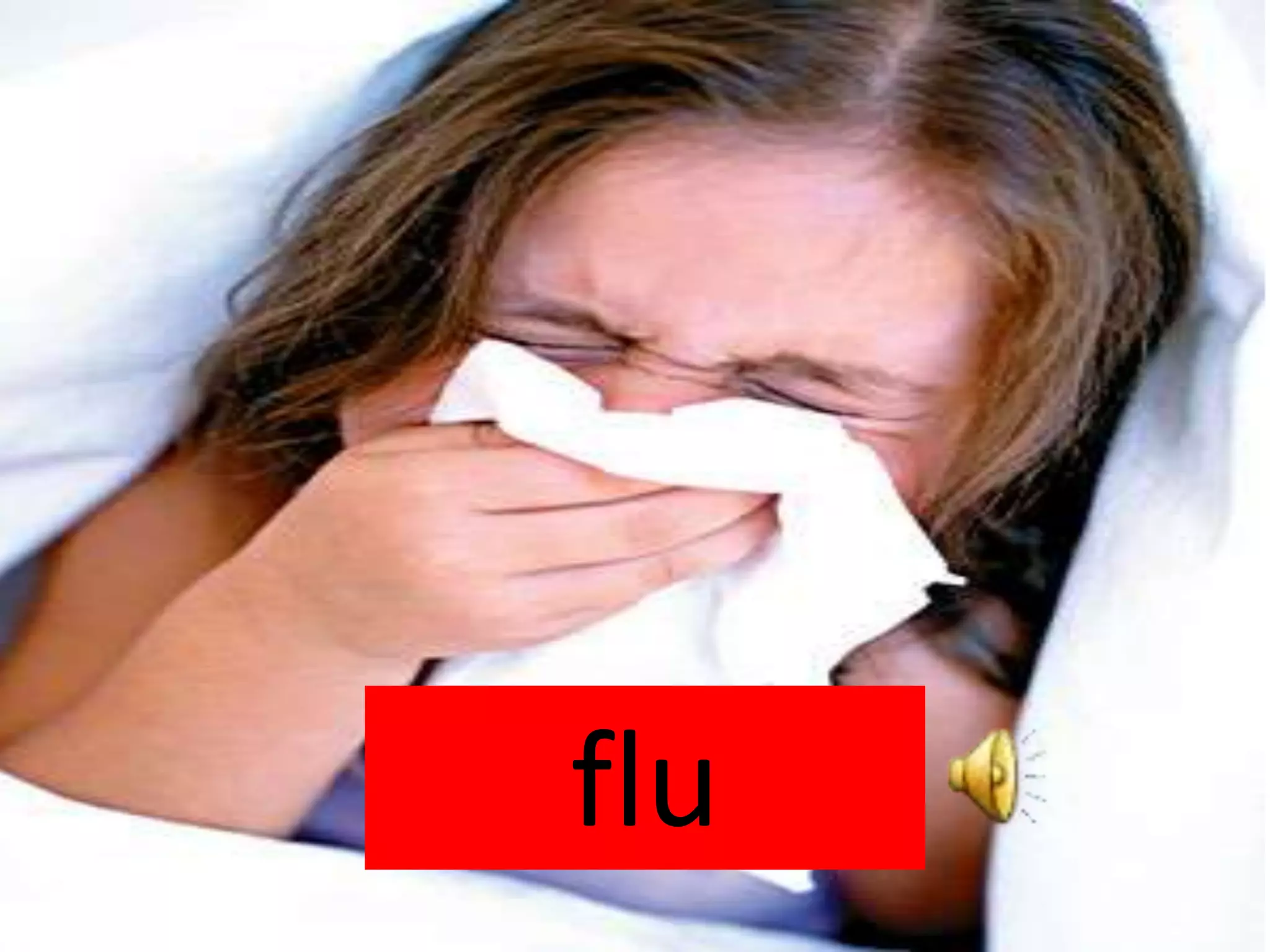 flu
 
