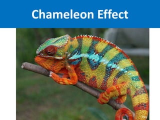 Chameleon Effect
 