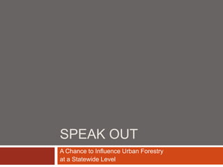 SPEAK OUT
A Chance to Influence Urban Forestry
at a Statewide Level

 