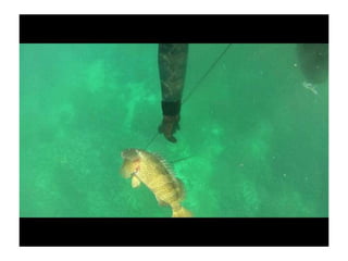 Spearfishing