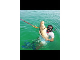 Spearfishing
