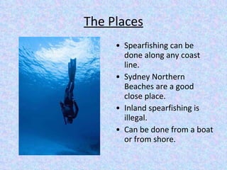 The Places Spearfishing can be done along any coast line. Sydney Northern Beaches are a good close place.  Inland spearfishing is illegal.  Can be done from a boat or from shore. 