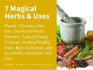 7 Magical
Herbs & Uses
Planet: Planetary Vibe
Day: Day to Use Herbs
Element: Type of Energy
Purpose: Healing/Vitality
Uses: Burn as Incense, add
to sachets, ointments, and
teas.
S O U R C E : B L U E L O T U S U N I V E R S I T Y . C O M
 