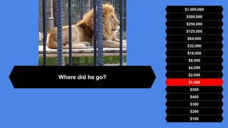 $500,000
$250,000
$125,000
$64,000
$32,000
$16,000
$8,000
$4,000
$2,000
$1,000
$500
$400
$300
$200
$100
$1,000,000
Where did he go?
 