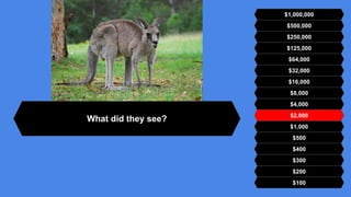 $500,000
$250,000
$125,000
$64,000
$32,000
$16,000
$8,000
$4,000
$2,000
$1,000
$500
$400
$300
$200
$100
$1,000,000
What did they see?
 