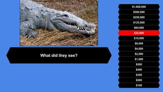 $500,000
$250,000
$125,000
$64,000
$32,000
$16,000
$8,000
$4,000
$2,000
$1,000
$500
$400
$300
$200
$100
$1,000,000
What did they see?
 