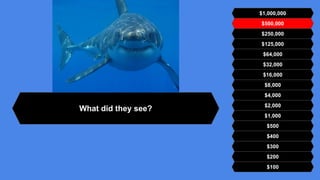 $500,000
$250,000
$125,000
$64,000
$32,000
$16,000
$8,000
$4,000
$2,000
$1,000
$500
$400
$300
$200
$100
$1,000,000
What did they see?
 