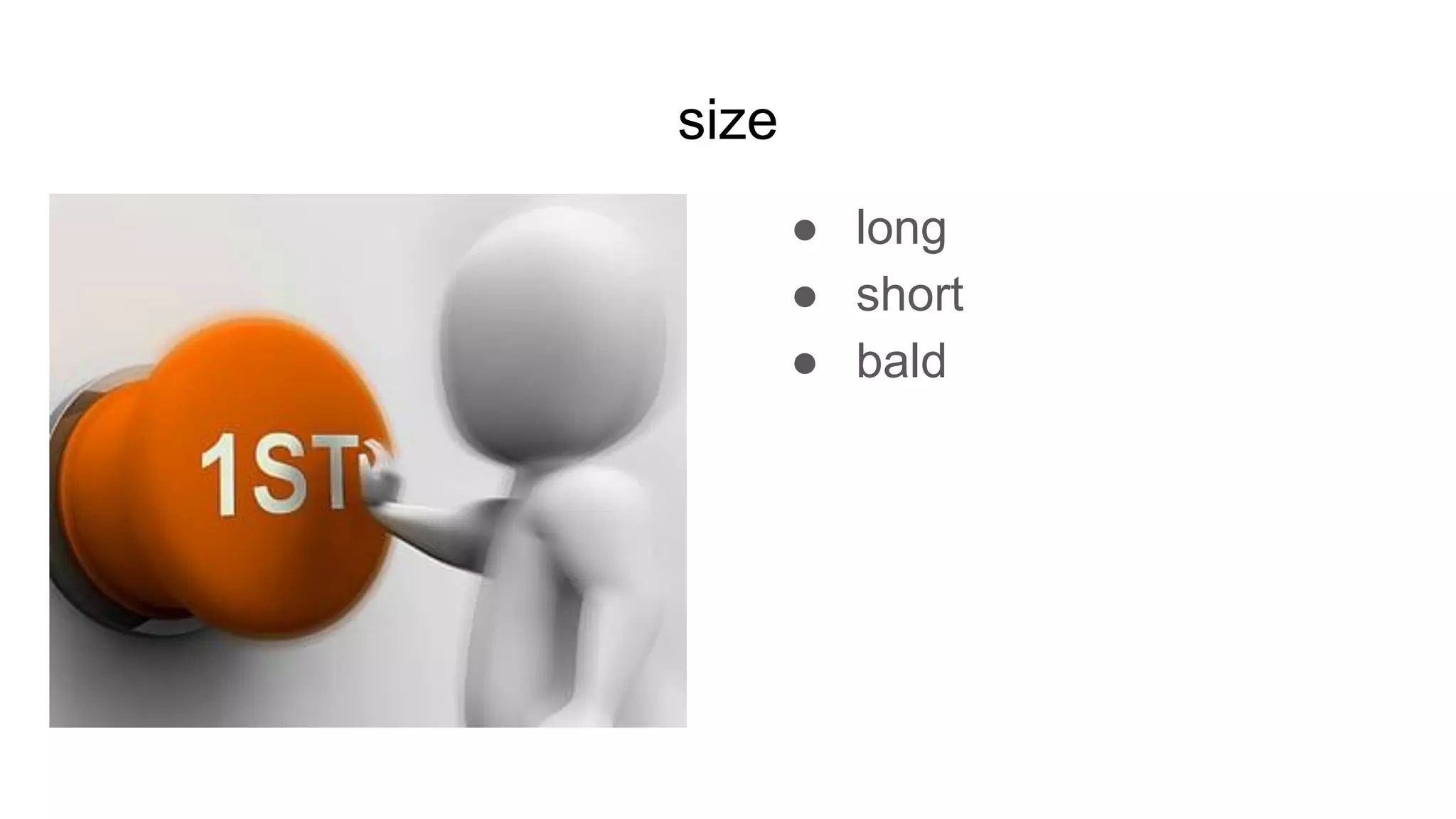size
● long
● short
● bald
 