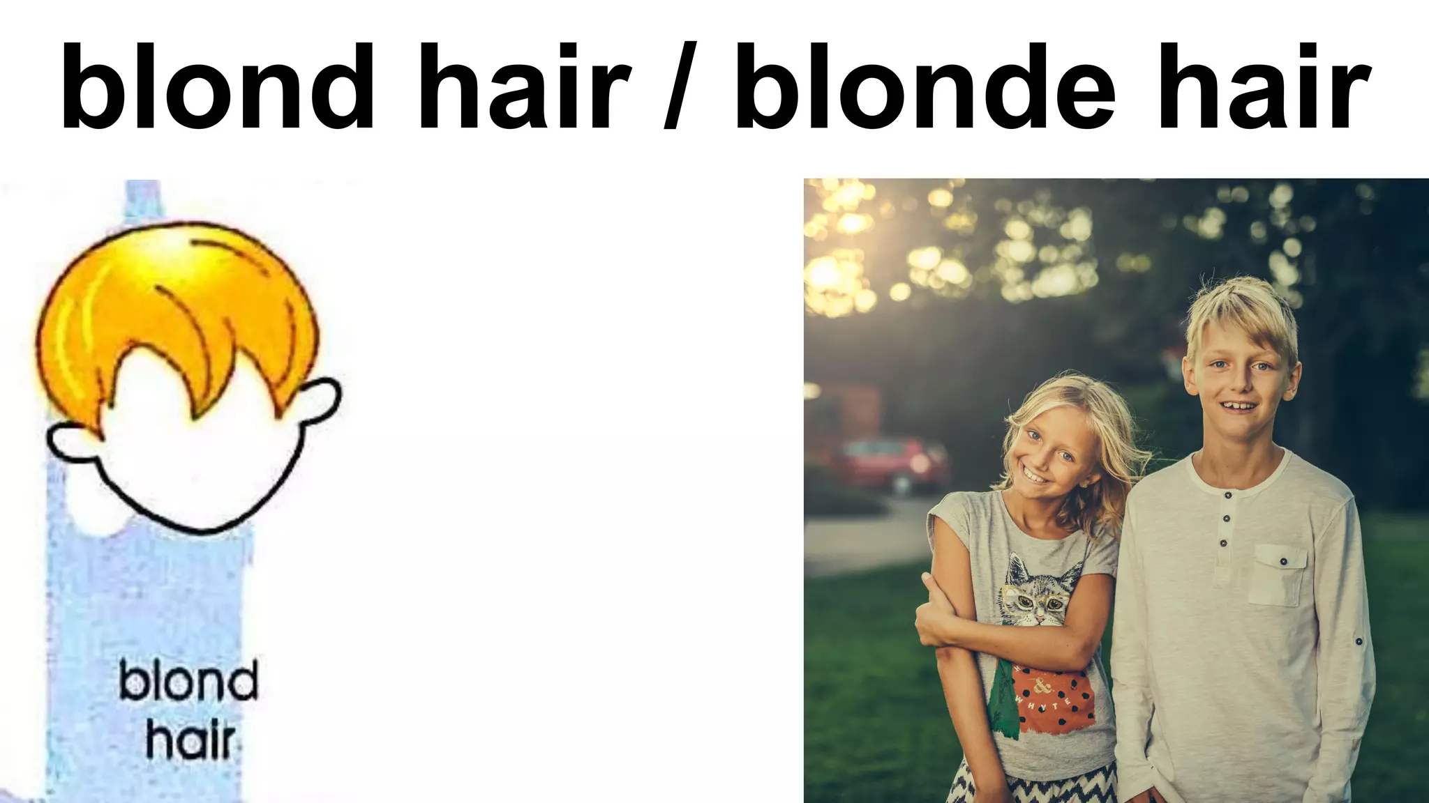 blond hair / blonde hair
 