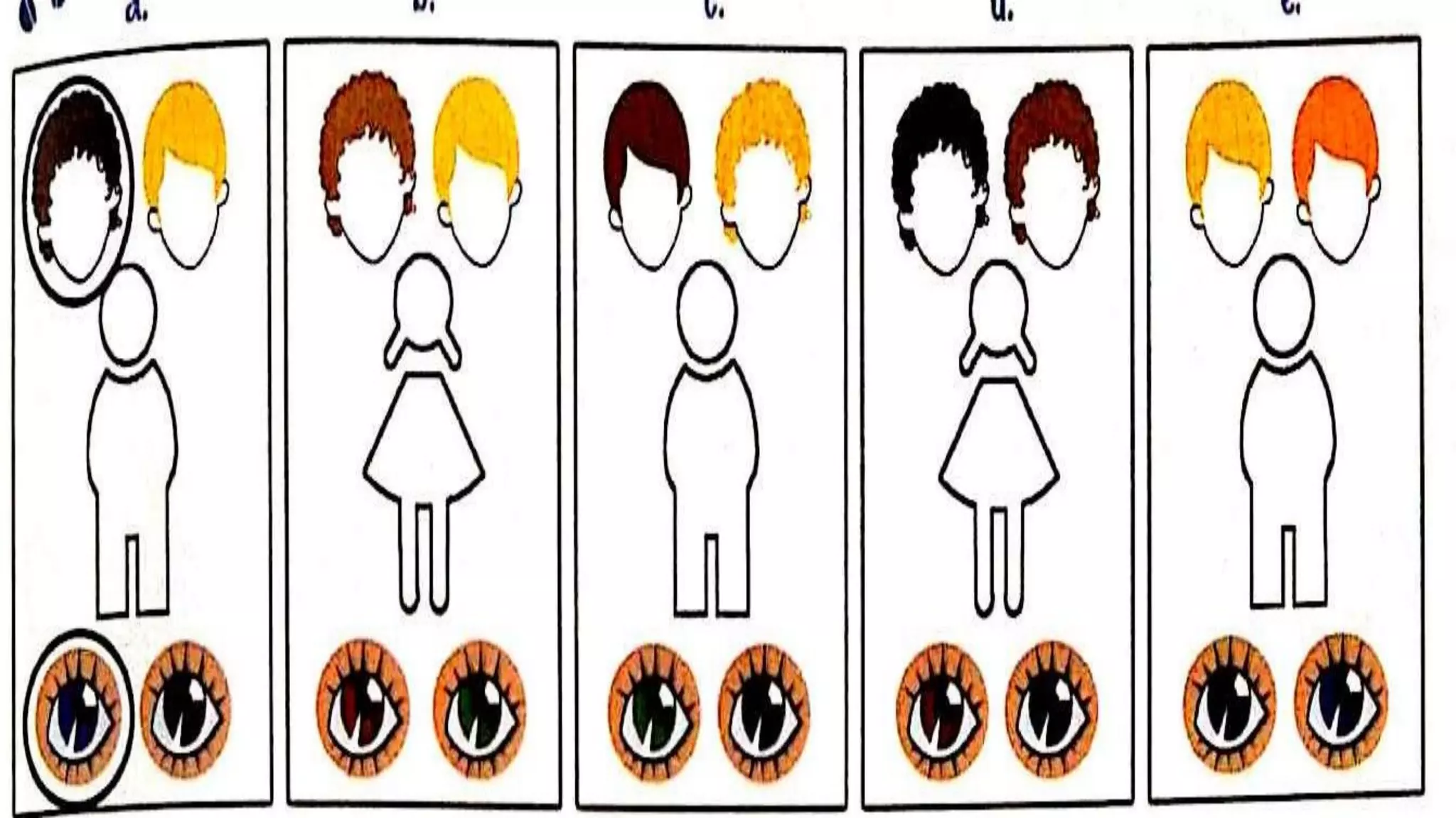 SPEC 5 Unit 9 What does he look like?