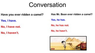 Conversation
Have you ever ridden a camel?
Yes, I have.
No, I have not.
No, I haven’t.
Has Mr. Bean ever ridden a camel?
Yes, he has.
No, he has not.
No, he hasn’t.
 