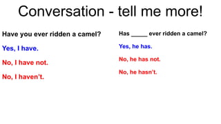 Conversation - tell me more!
Have you ever ridden a camel?
Yes, I have.
No, I have not.
No, I haven’t.
Has _____ ever ridden a camel?
Yes, he has.
No, he has not.
No, he hasn’t.
 