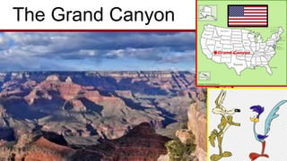 The Grand Canyon
 