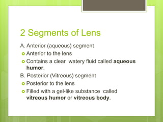 2 Segments of Lens
A. Anterior (aqueous) segment
 Anterior to the lens
 Contains a clear watery fluid called aqueous
humor.
B. Posterior (Vitreous) segment
 Posterior to the lens
 Filled with a gel-like substance called
vitreous humor or vitreous body.
 
