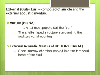 External (Outer Ear) – composed of auricle and the
external acoustic meatus.
 Auricle (PINNA)
- Is what most people call the “ear”.
- The shell-shaped structure surrounding the
auditory canal opening.
 External Acoustic Meatus (AUDITORY CANAL)
- Short narrow chamber carved into the temporal
bone of the skull.
 