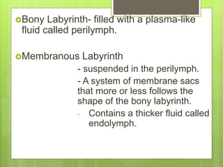Bony Labyrinth- filled with a plasma-like
fluid called perilymph.
Membranous Labyrinth
- suspended in the perilymph.
- A system of membrane sacs
that more or less follows the
shape of the bony labyrinth.
- Contains a thicker fluid called
endolymph.
 