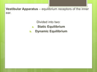 Vestibular Apparatus – equilibrium receptors of the inner
ear.
Divided into two:
a. Static Equilibrium
b. Dynamic Equilibrium
 