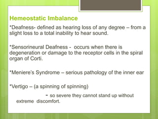 Hemeostatic Imbalance
*Deafness- defined as hearing loss of any degree – from a
slight loss to a total inability to hear sound.
*Sensorineural Deafness - occurs when there is
degeneration or damage to the receptor cells in the spiral
organ of Corti.
*Meniere’s Syndrome – serious pathology of the inner ear
*Vertigo – (a spinning of spinning)
- so severe they cannot stand up without
extreme discomfort.
 