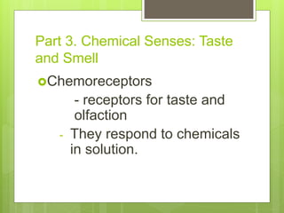 Part 3. Chemical Senses: Taste
and Smell
Chemoreceptors
- receptors for taste and
olfaction
- They respond to chemicals
in solution.
 