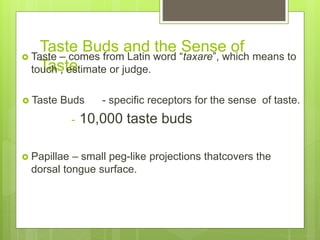 Taste Buds and the Sense of
Taste
 Taste – comes from Latin word “taxare”, which means to
touch , estimate or judge.
 Taste Buds - specific receptors for the sense of taste.
- 10,000 taste buds
 Papillae – small peg-like projections thatcovers the
dorsal tongue surface.
 