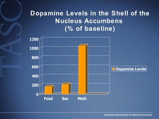 Dopamine Levels in the Shell of the Nucleus Accumbens  (% of baseline) 