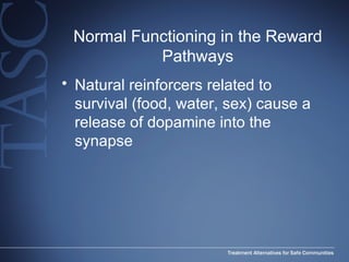 Normal Functioning in the Reward Pathways Natural reinforcers related to survival (food, water, sex) cause a release of dopamine into the synapse 