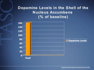 Dopamine Levels in the Shell of the Nucleus Accumbens  (% of baseline) 