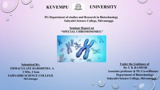KUVEMPU UNIVERSITY
PG Department of studies and Research in Biotechnology
Sahyadri Science College, Shivamogga
Seminar Report on
“SPECIAL CHROMOSOMES.”
Under the Guidance of
Dr. C K RAMESH
Associate professor & PG Co-ordinator
Department of Biotechnology,
Sahyadri Science College, Shivamogga
Submitted By:
IMMACULATE HARSHITHA A
I MSc, I Sem
SAHYADRI SCIENCE COLLEGE
Shivamogga
 