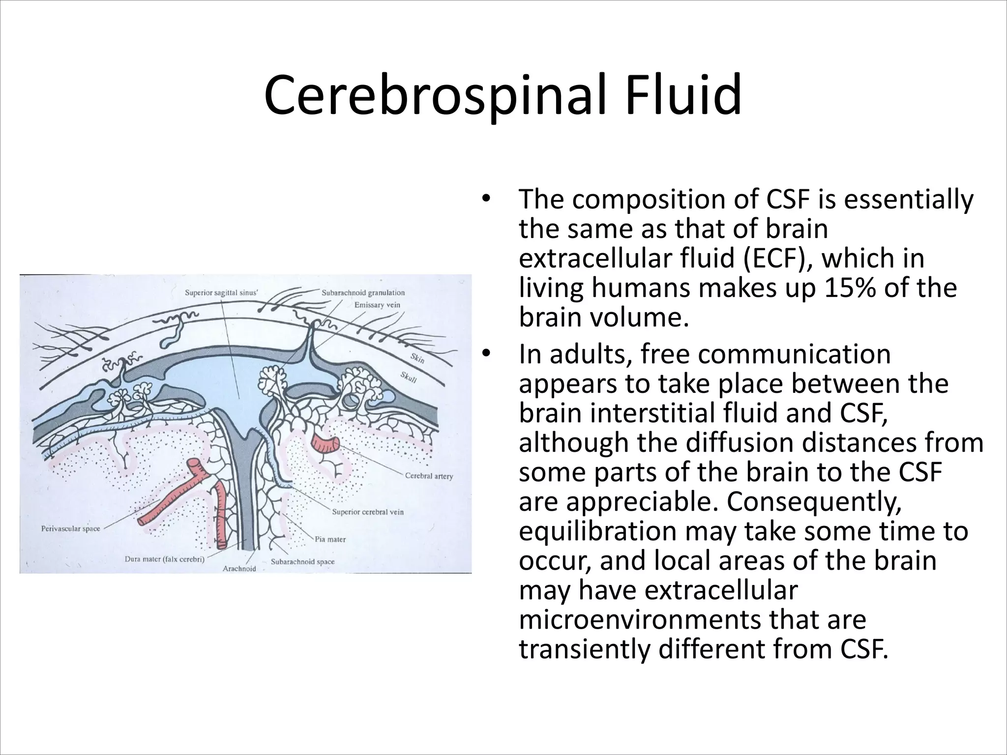 Cerebrospinal Fluid
• The composition of CSF is essentially
the same as that of brain
extracellular fluid (ECF), which in
living humans makes up 15% of the
brain volume.
• In adults, free communication
appears to take place between the
brain interstitial fluid and CSF,
although the diffusion distances from
some parts of the brain to the CSF
are appreciable. Consequently,
equilibration may take some time to
occur, and local areas of the brain
may have extracellular
microenvironments that are
transiently different from CSF.
 