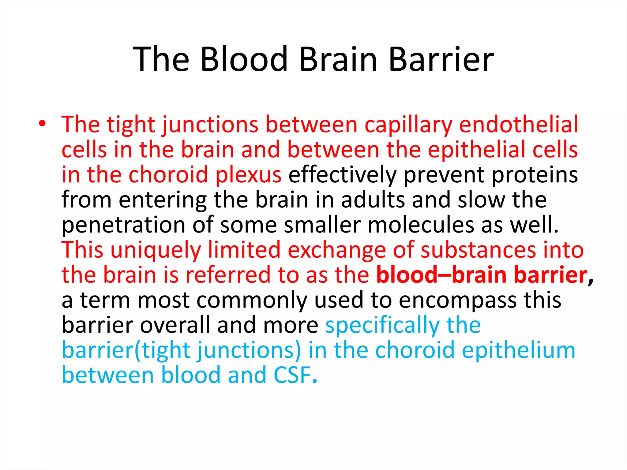 The Blood Brain Barrier
• The tight junctions between capillary endothelial
cells in the brain and between the epithelial cells
in the choroid plexus effectively prevent proteins
from entering the brain in adults and slow the
penetration of some smaller molecules as well.
This uniquely limited exchange of substances into
the brain is referred to as the blood–brain barrier,
a term most commonly used to encompass this
barrier overall and more specifically the
barrier(tight junctions) in the choroid epithelium
between blood and CSF.
 