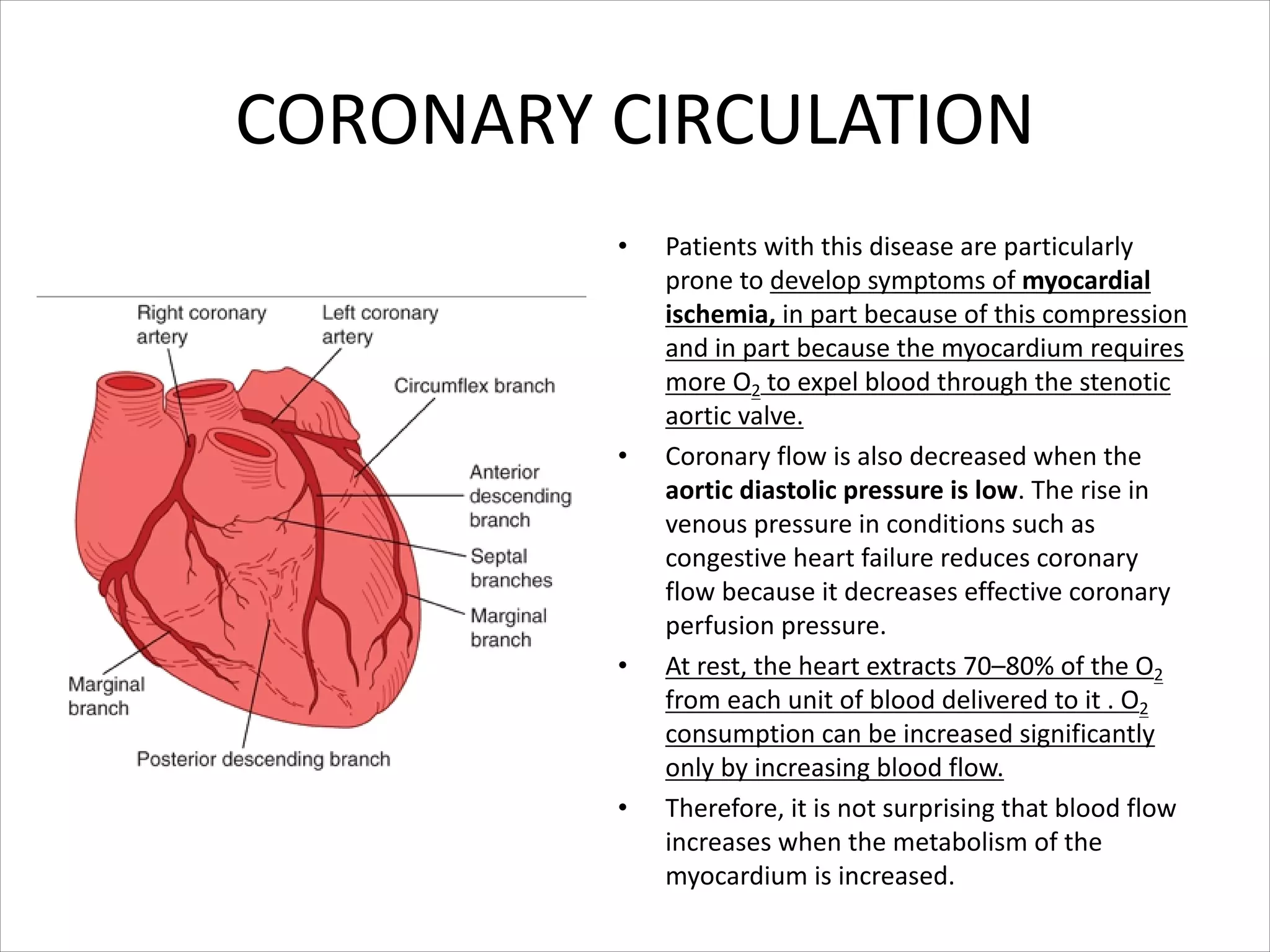 CORONARY CIRCULATION
• Patients with this disease are particularly
prone to develop symptoms of myocardial
ischemia, in part because of this compression
and in part because the myocardium requires
more O2 to expel blood through the stenotic
aortic valve.
• Coronary flow is also decreased when the
aortic diastolic pressure is low. The rise in
venous pressure in conditions such as
congestive heart failure reduces coronary
flow because it decreases effective coronary
perfusion pressure.
• At rest, the heart extracts 70–80% of the O2
from each unit of blood delivered to it . O2
consumption can be increased significantly
only by increasing blood flow.
• Therefore, it is not surprising that blood flow
increases when the metabolism of the
myocardium is increased.
 