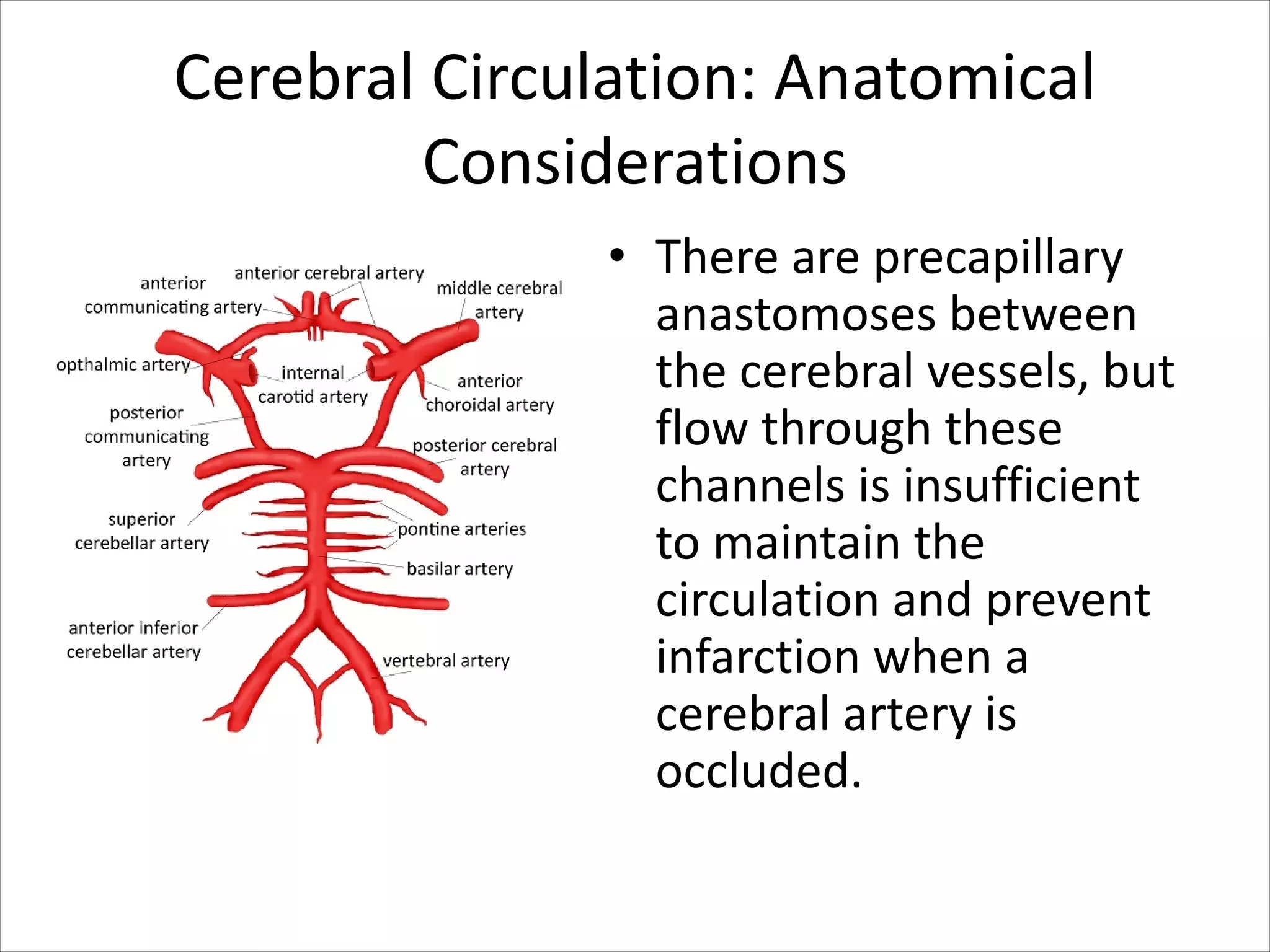 Cerebral Circulation: Anatomical
Considerations
• There are precapillary
anastomoses between
the cerebral vessels, but
flow through these
channels is insufficient
to maintain the
circulation and prevent
infarction when a
cerebral artery is
occluded.
 